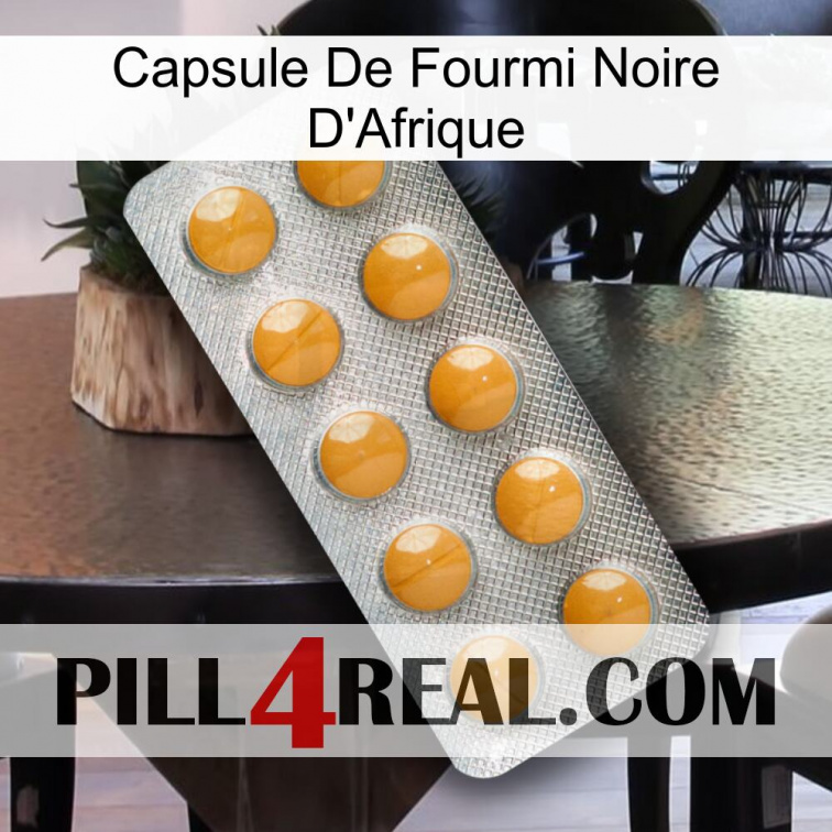 Africa Black Ant Capsule levitra1